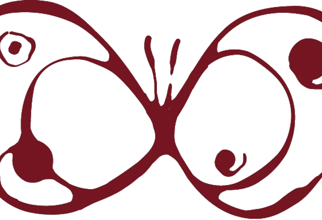 A butterfly as result of metamorphosis