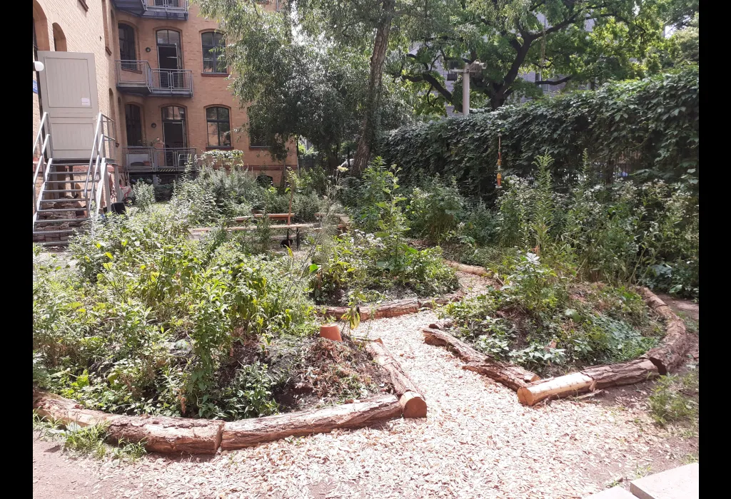 School garden in Berlin 2026 School garden in Berlin 2026