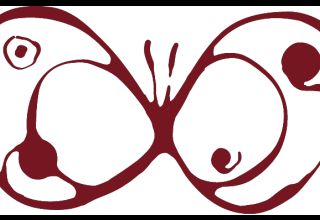A butterfly as result of metamorphosis
