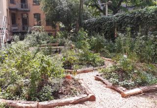 School garden in Berlin 2026